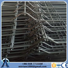 Feito em China venda quente Hot dip wire mesh cerca / cerca de arame 3d / soldado cerca de malha de arame